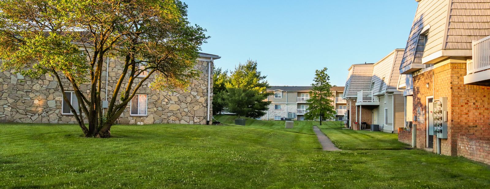 Lawn and shade tree between apartment buildings at golden hour