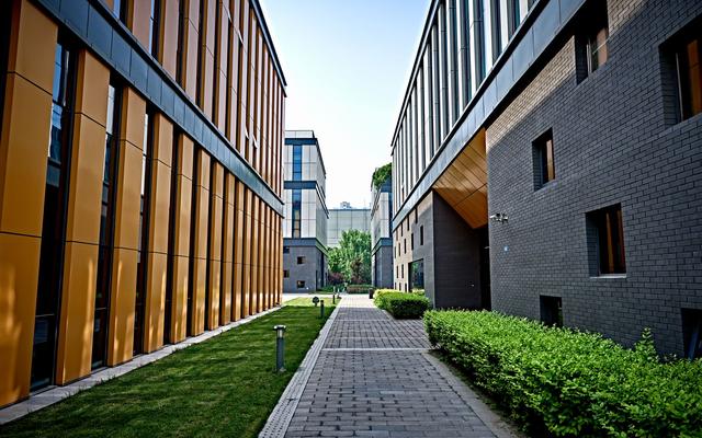 Paved walkway between modern office buildings