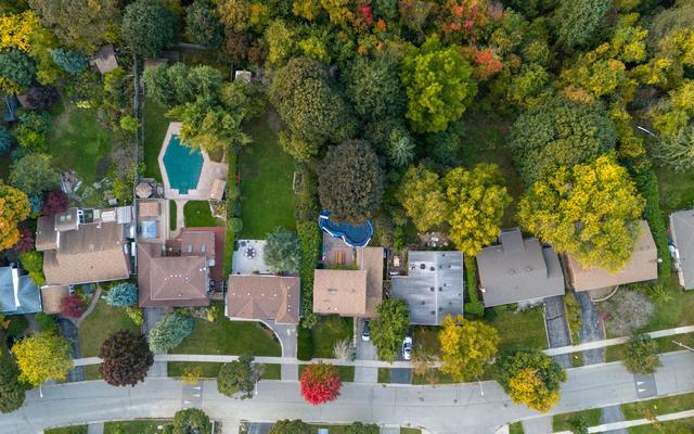 Aerial view of a tree-lined residential street and back gardens