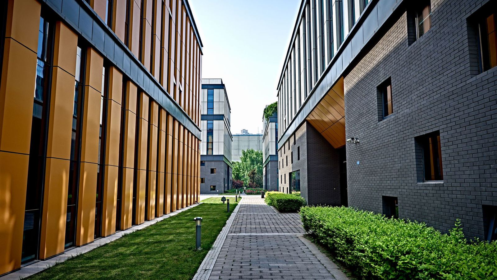Paved walkway between modern office buildings