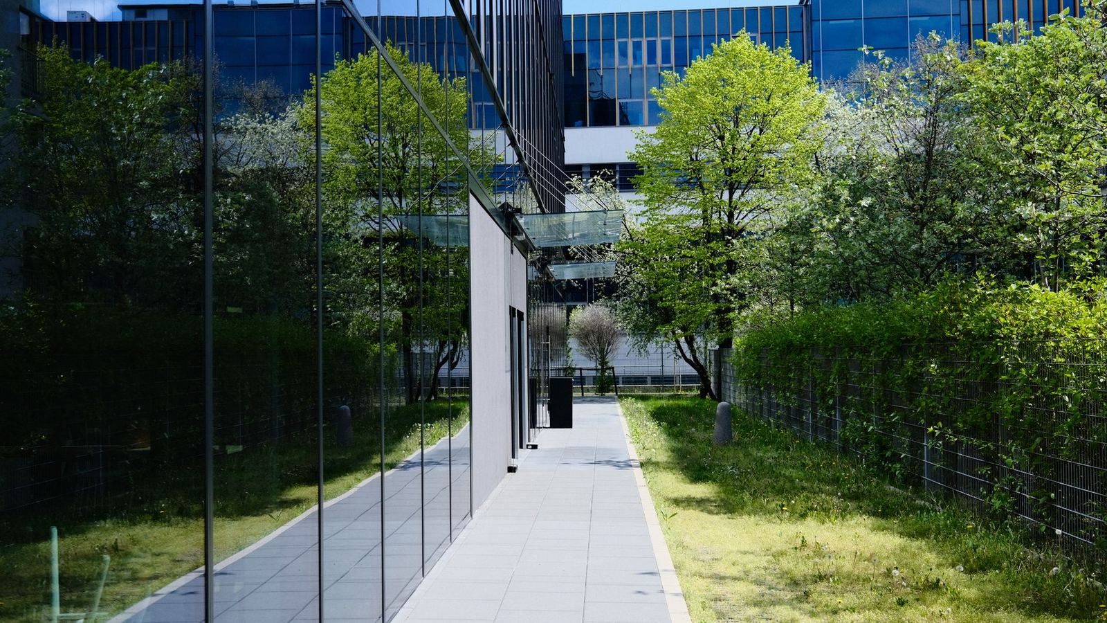 Landscaped walkway beside a glass office building